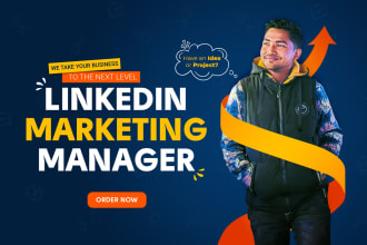 be your linkedin marketing manager, post and content creator