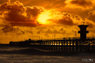 enhance the ambiance of your space with my photography art