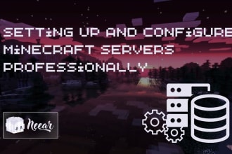 set up and configure your minecraft server professionally