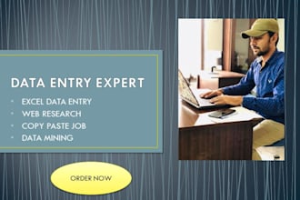 data entry expert in ms office