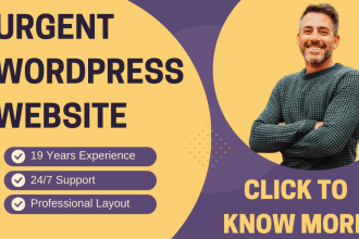 design or redesign responsive wordpress website in 1 day