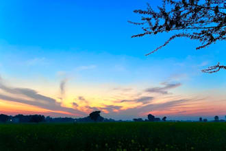 capture the breathtaking beauty of india through scenic and lifestyle phot