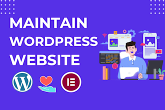 provide website maintenance and update, support for wordpress security