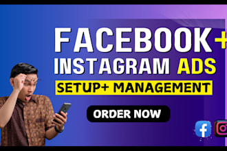 expert facebook and instagram ads management for effective campaigns