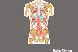 do medical illustration and pencil sketch
