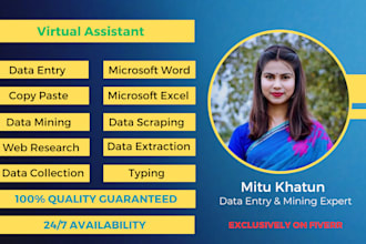 do internet research, web research, data entry, data mining, data scraping