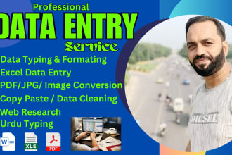 data entry, manual data entry typing work, convert PDF to word, data collection