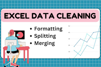provide excel data cleaning and formatting, splitting merging data services