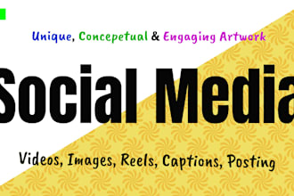 be your social media marketing manager and content creator