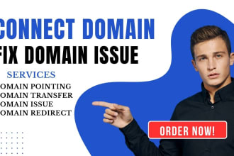connect, fix, transfer, domain issue, email issue, godaddy, bluehost, wordpress