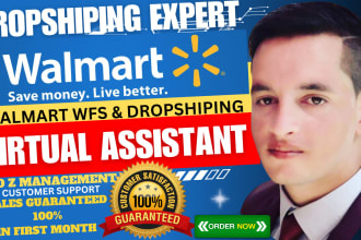 create and manage walmart dropshipping store walmart va