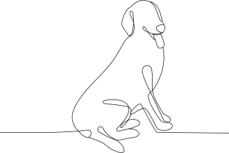 draw minimalist dog or pet line art