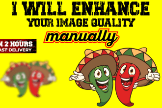 enhance your image and logo quality or rework manually