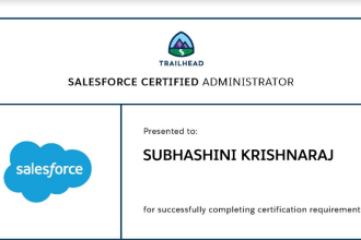 be your salesforce admin