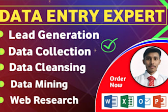 do lead generation, web research, data mining, data collection, instagram