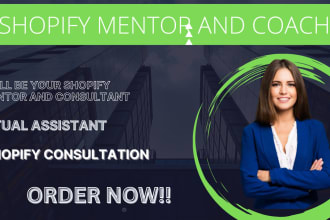 be your shopify dropshipping mentor to boost sales, youtube coach