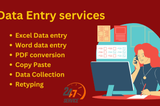 do typing job, data entry work, PDF to word or excel, typist
