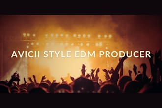 avicii style music producer