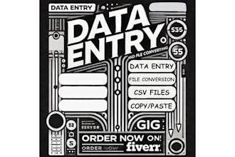 do data cleaning, sorting, copypaste, CSV file service, and file conversion