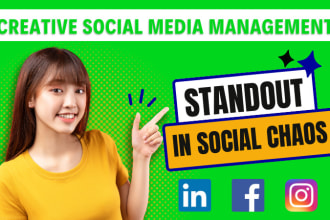 manage your social media accounts and make social media strategy for your brand