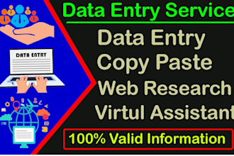 be your perfect data entry va