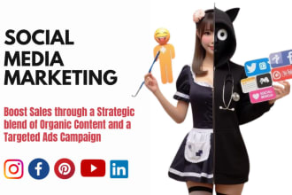 be your meta certified social media marketing expert and ads expert