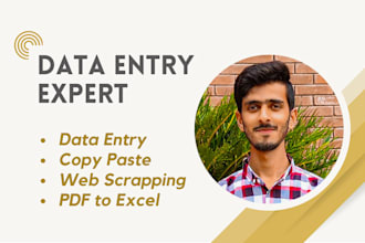 do data entry, typing work, PDF to excel, web scraping