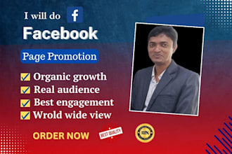 do organic facebook page monetization for in stream ads