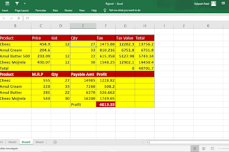 assist you with excel formulas, macros, data managment and pivot tables