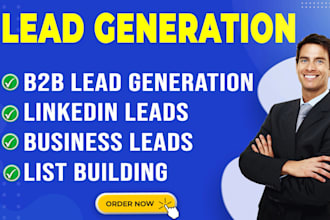 provide professional b2b lead generation service