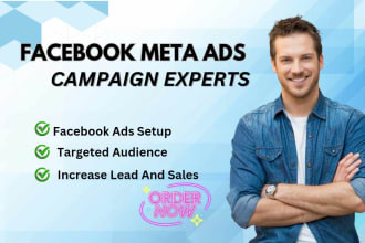 do professional facebook meta ads campaigns for your growth