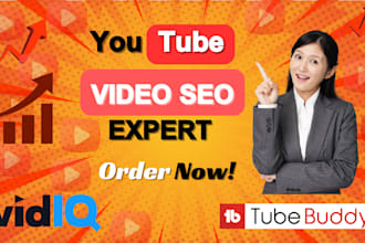 do best youtube video SEO expert for top ranking