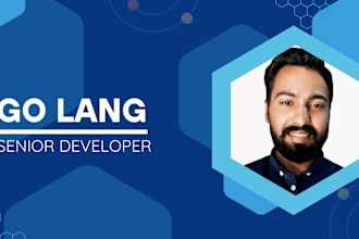 develop golang api and fix golang errors bugs
