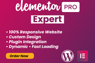 elementor pro custom wordpress website development design, elementor expert