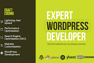 build professional wordpress site, wordpress developer