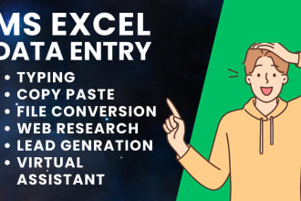 do data entry, file conversion, web research and excel work