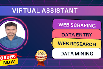 do virtual assistant, data entry and web research work