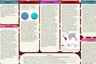 design research posters and custom posters for your event,product or service