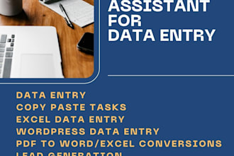 do data entry, typing jobs, copy paste, excel data entry