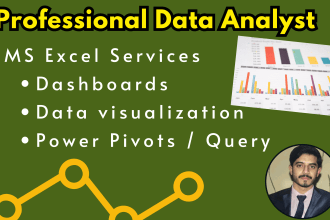 do data visualizations, excel charts, dashboards and pivot tables
