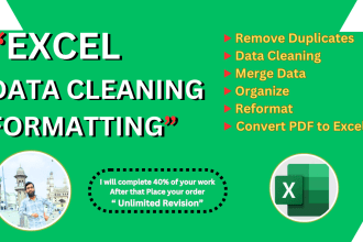 clean, organize, merge, split, and format excel or CSV data