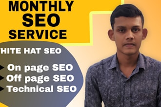 provide monthly SEO service