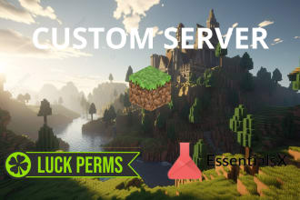 setup your professional minecraft server or plugin
