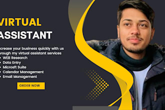 be your long term virtual assistant for web research data entry