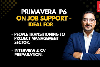 provide you p6 on job support, CV support and interview support