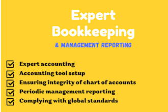 provide expert bookkeeping with management reporting