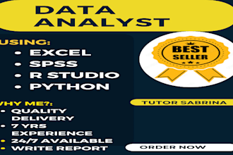 do your data analytics data science projects with r programming, python, excel