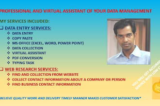 be professional and virtual assistant of your data management in a timely manner