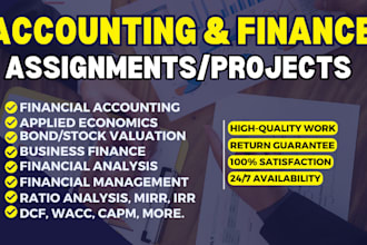 do accounting and finance assignments, financial analysis, excel projects
