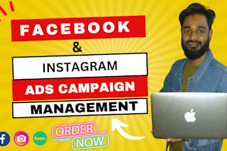 manage facebook instagram ads campaign marketing advertising and ads management